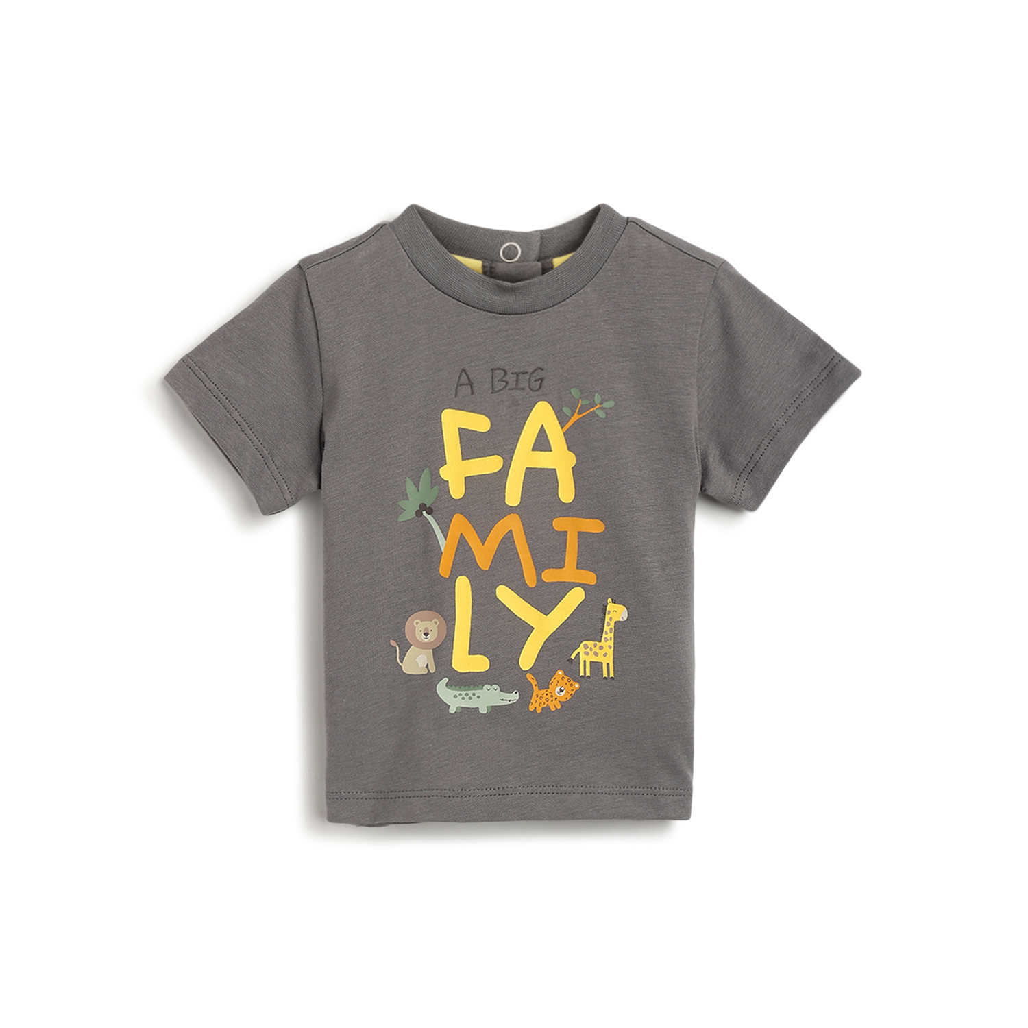 Boys Graphic Printed Short Sleeve T-Shirt-Grey